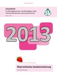 Arbeitsbehelf der Sozialversicherung 2013 - Sorgenfrei24