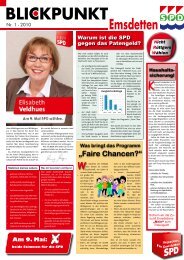 Blickpunkt zur Landtagswahl 2010 - dieter-tillmann.de
