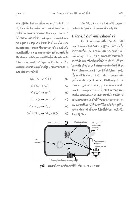 à¹à¸à¹à¸à¹à¸à¸µà¸¢à¸¡à¹à¸à¸­à¸­à¸à¹à¸à¸à¹: à¸§à¸±à¸ªà¸à¸¸à¸à¹à¸²à¹à¸à¸·à¹à¸­à¹à¸à¸à¸à¸µà¹à¸£à¸µà¸¢