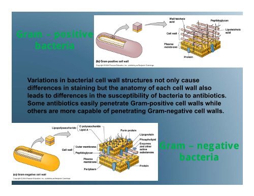 Combinatorial Chemistry and Drug Discovery Lab Jasmine ... - haspi