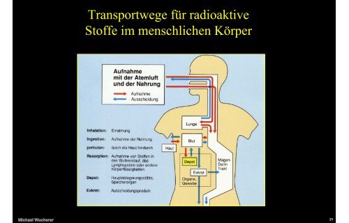 Strahlenschutz in der Nuklearmedizin