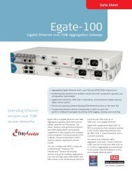 Egate-100