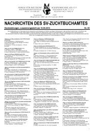 NACHRICHTEN DES SV-ZUCHTBUCHAMTES - Jacentus