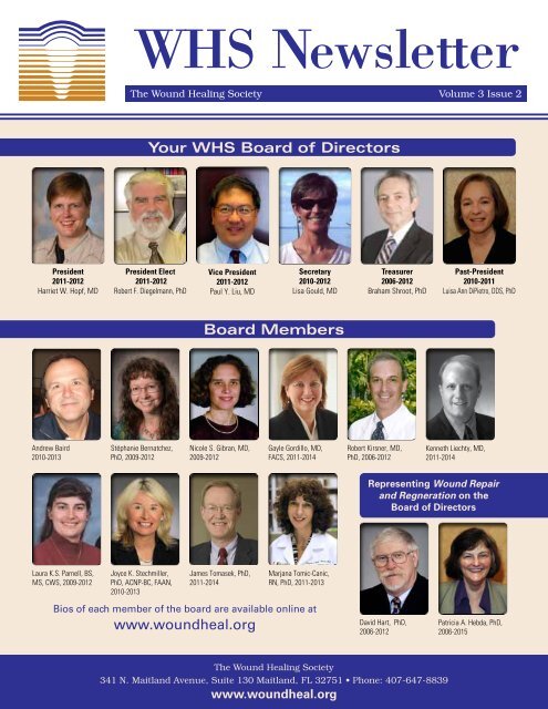 Wound Healing Society Newsletter Volume 3 Issue 2