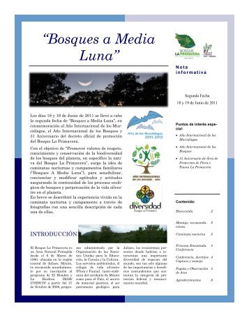 Bosque Media Luna - Year of the Bat