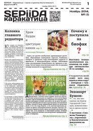 SEPiiDA - Каракатица - Ноябрь 2014 №1(1)