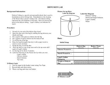 Graham S Law Of Diffusion Lab