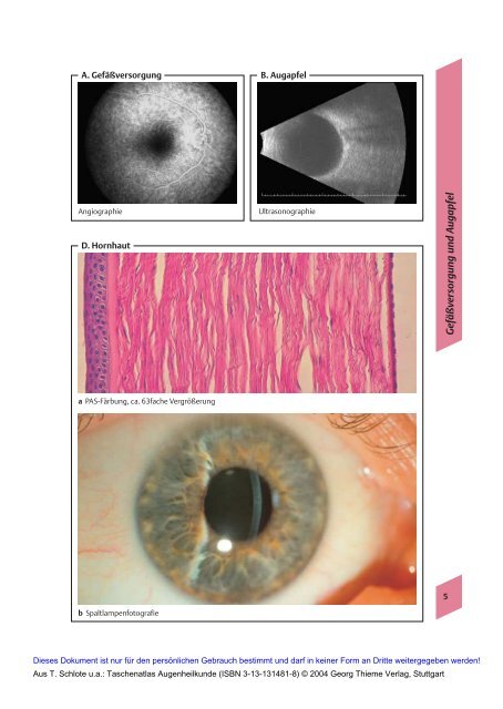 Taschenatlas Augenheilkunde (Thieme Verlag, 2004)