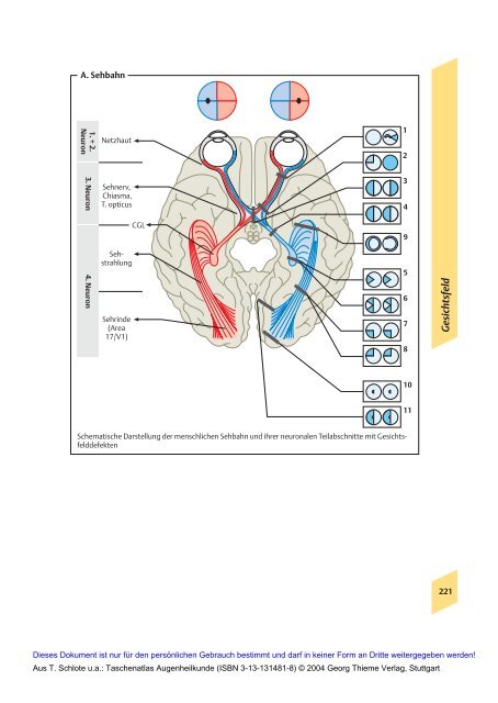 Taschenatlas Augenheilkunde (Thieme Verlag, 2004)