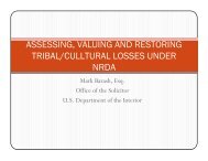 Assesing, Valuing and Restoring Tribal/Cultural Losses under NRDA