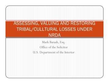 Assesing, Valuing and Restoring Tribal/Cultural Losses under NRDA