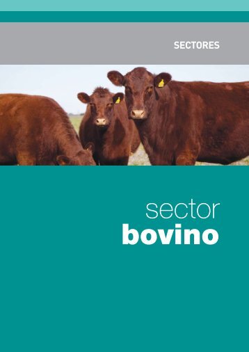 Bovino