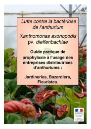 Lutte contre la bactÃ©riose de l'anthurium Xanthomonas axonopodis ...