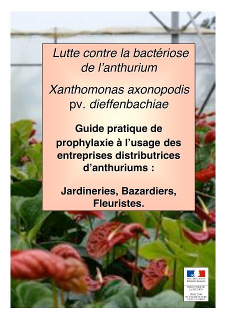 Lutte contre la bactÃ©riose de l'anthurium Xanthomonas axonopodis ...