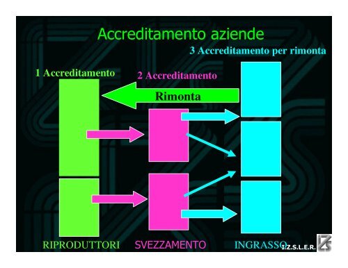 Aujeszky loris VR3.07.pdf - IZS della Lombardia e dell'Emilia ...