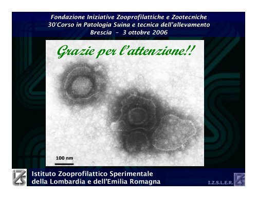 Aujeszky loris VR3.07.pdf - IZS della Lombardia e dell'Emilia ...