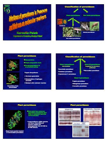 Classification of peroxidases Plant peroxidases Classification of ...