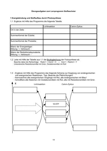 Ãbungsaufgaben - Biologie Lernprogramme