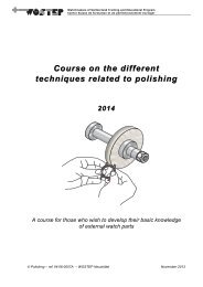 Course on the different techniques related to polishing - WOSTEP