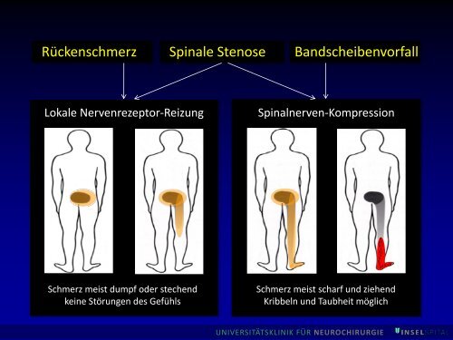 Bilder (pdf, 7.3 MB) - Senioren-Universität - Universität Bern