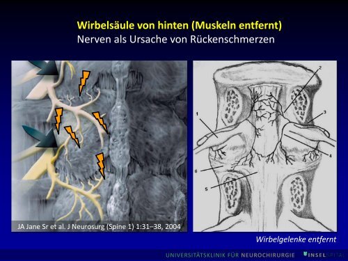 Bilder (pdf, 7.3 MB) - Senioren-Universität - Universität Bern