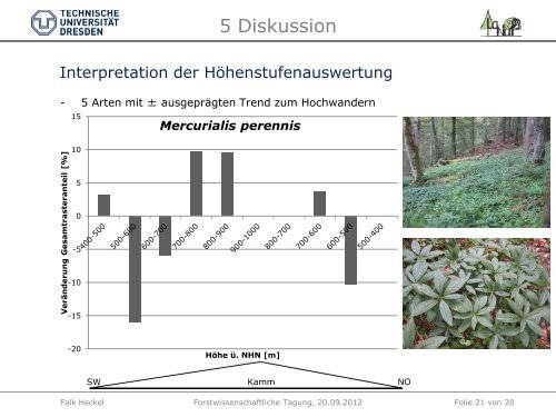 Heckel_VerÃ¤nderung der Artenvielfalt.pdf