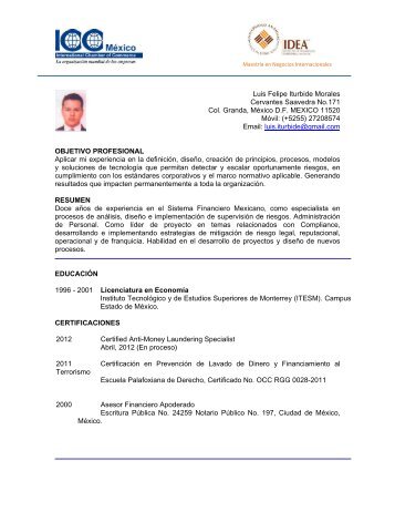 Curriculum Luis Felipe Iturbide Morales.pdf - ICC MÃ©xico