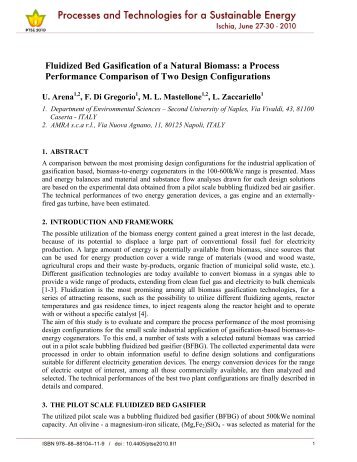 Fluidized Bed Gasification of a Natural Biomass - Italian Section of ...