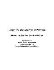 Discovery and Analysis of Petrified Wood in the San Jacinto River