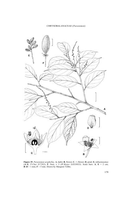 Vol. 1 part 2 - Species Plantarum Programme