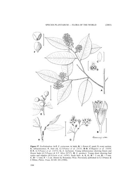 Vol. 1 part 2 - Species Plantarum Programme