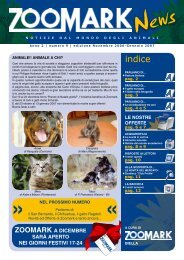 Il Gatto nella fotografia - Zoomark srl
