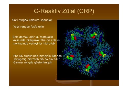 Nanobiotexnologiya XXI Ésrin texnologiyas srin texnologiyasÄ±