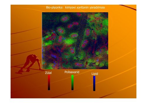 Nanobiotexnologiya XXI Ésrin texnologiyas srin texnologiyasÄ±