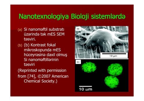 Nanobiotexnologiya XXI Ésrin texnologiyas srin texnologiyasÄ±