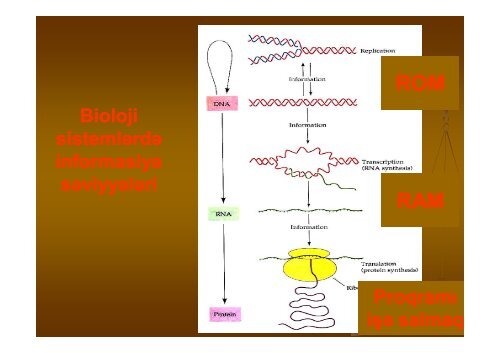 Nanobiotexnologiya XXI Ésrin texnologiyas srin texnologiyasÄ±