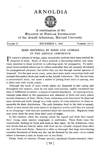 Seed Dispersal by Birds and Animals in the Arnold Arboretum