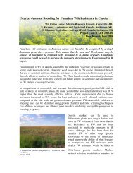 Marker-Assisted Breeding for Fusarium Wilt ... - SaskCanola