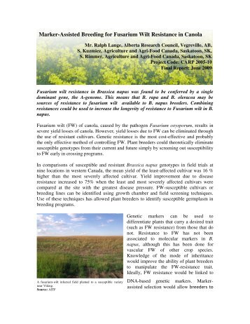 Marker-Assisted Breeding for Fusarium Wilt ... - SaskCanola