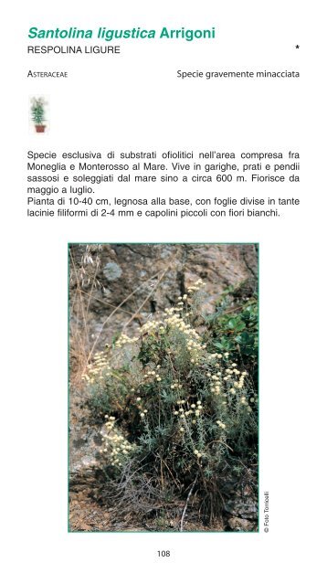 Valori e raritÃ  della flora ligure - Ambiente in Liguria