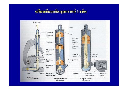 microscope%20lab