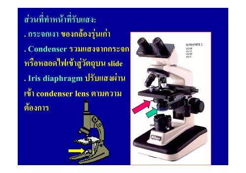 microscope%20lab