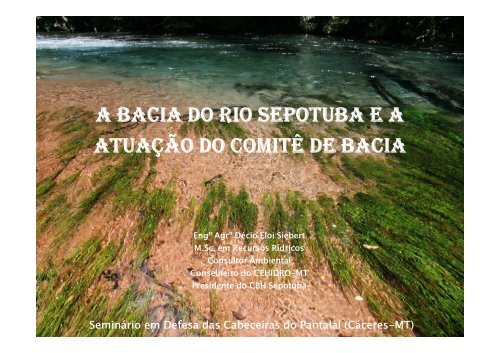 A bacia do Rio Sepotuba e a atuaÃ§Ã£o do ComitÃª de Bacia PDF ...