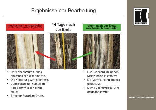 Am Ende zählt das Ergebnis. Am Anfang KNOCHE.