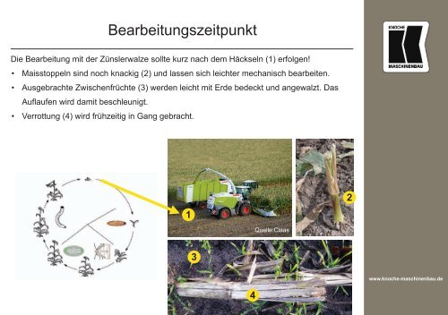 Am Ende zählt das Ergebnis. Am Anfang KNOCHE.