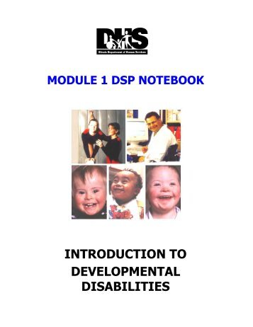 introduction to developmental disabilities - Illinois Department of ...