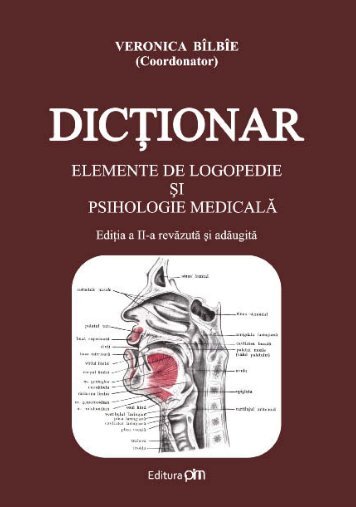 Dictionar - PIM Copy