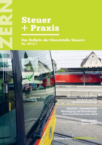 steuer praxis 2013 01 - Steuern Luzern - Kanton Luzern