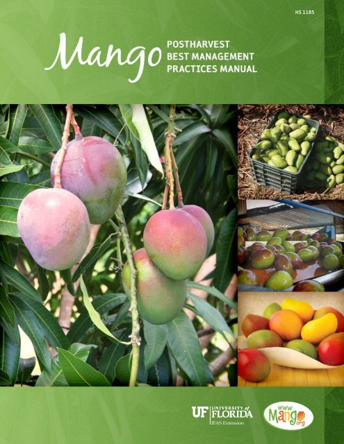 https://img.yumpu.com/29037366/1/500x640/mango-post-harvest-best-management-practices-manual.jpg