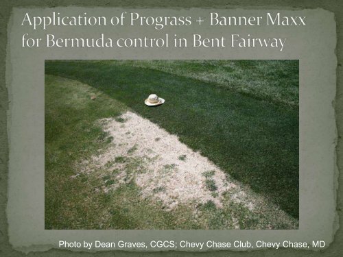 Bermudagrass_Kyllinga_Dallisgrass_Golf